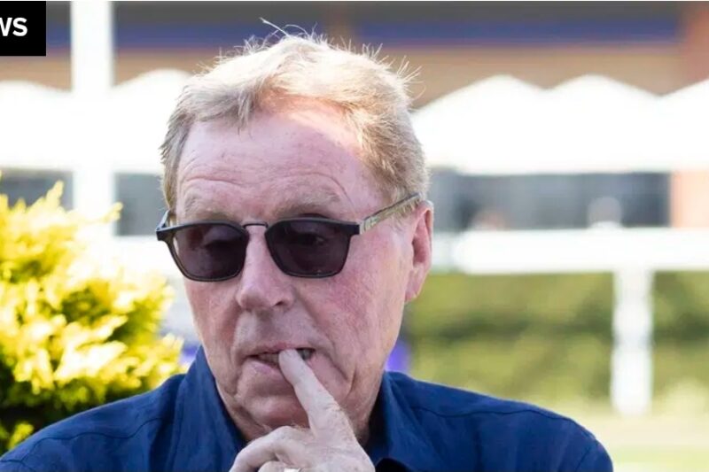 Harry Redknapp Newcastle verdict has now arrived