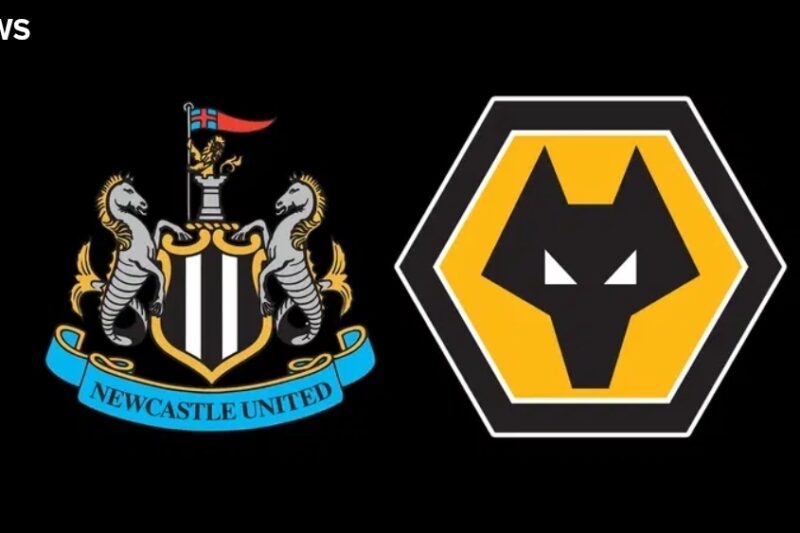 Former top referee rules on this controversial Newcastle v Wolves incident
