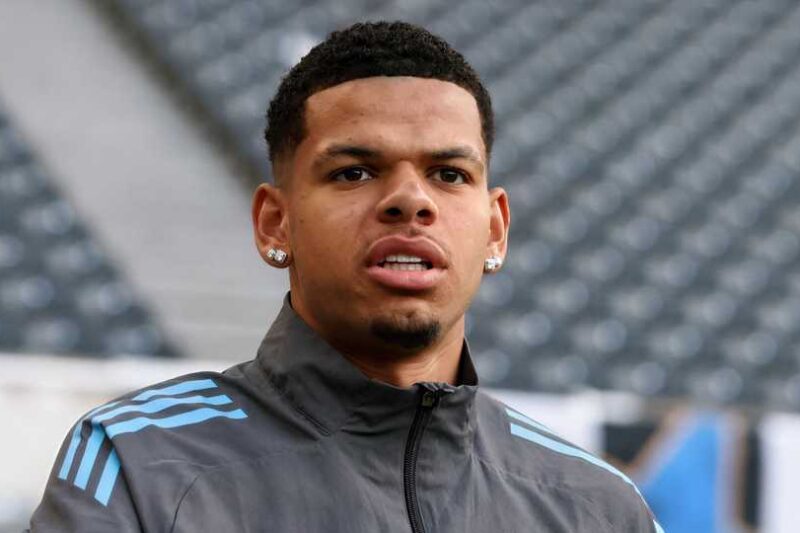 Move over Osula: Newcastle’s £35m “monster” is quickly becoming undroppable for Howe
