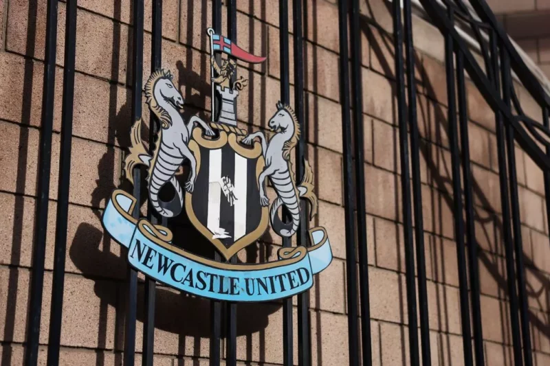 Breathtaking new club crests shown to Newcastle United chiefs with decision date announced