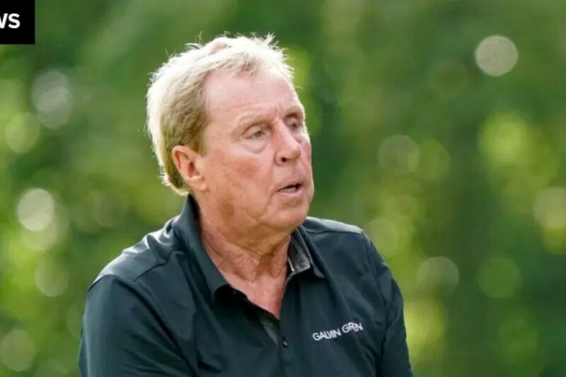 Heartbreaking for Newcastle United – Harry Redknapp